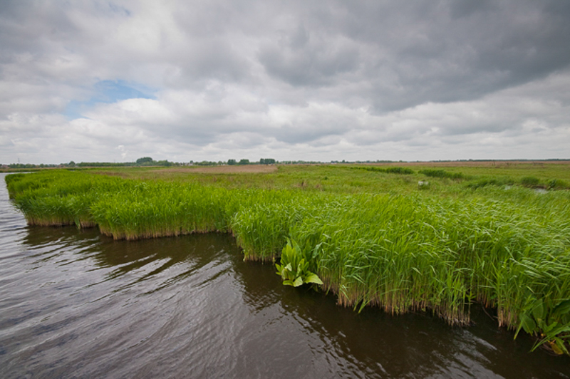 Ilperveld